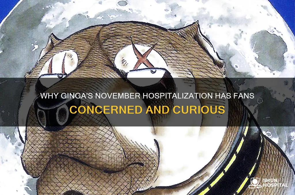 why is ginga in hospital in november