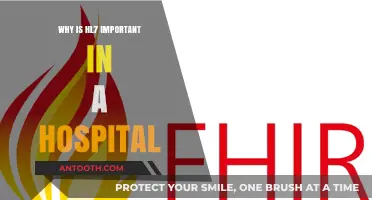 HL7 Standards: Enhancing Hospital Data Exchange and Patient Care Efficiency