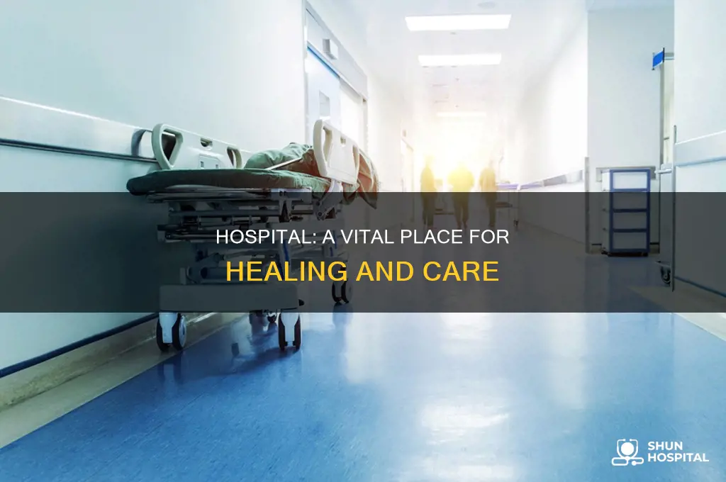 why is hospital a significant place 123helpme