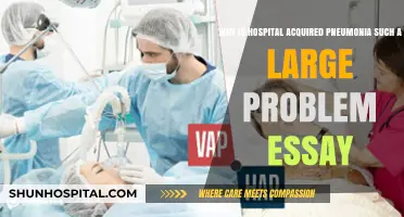 Hospital-Acquired Pneumonia: A Persistent and Costly Healthcare Challenge