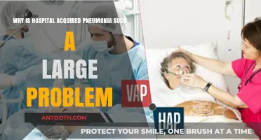 Hospital-Acquired Pneumonia: A Persistent and Costly Healthcare Challenge