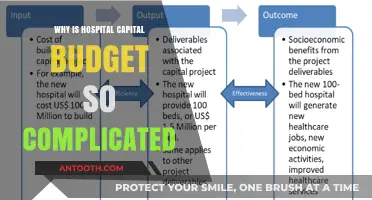 Unraveling Hospital Capital Budgeting Complexities