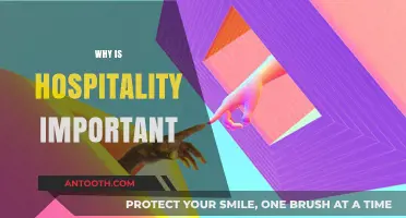 The Vital Role of Hospitality in Building Memorable Experiences