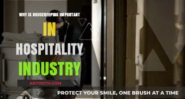 Housekeeping: The Heart of Hospitality's Success