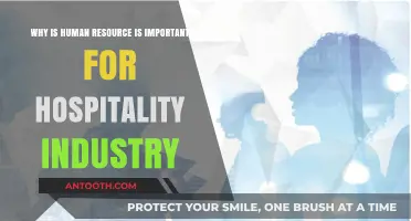 Human Resource: The Backbone of Hospitality Industry Success