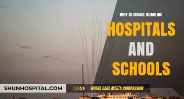 Israel's Bombing of Hospitals and Schools: Why?