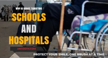 Israel's Attacks on Schools and Hospitals: Why?