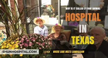 Cy Fair Animal Hospital: Unveiling the Name's Origin in Texas