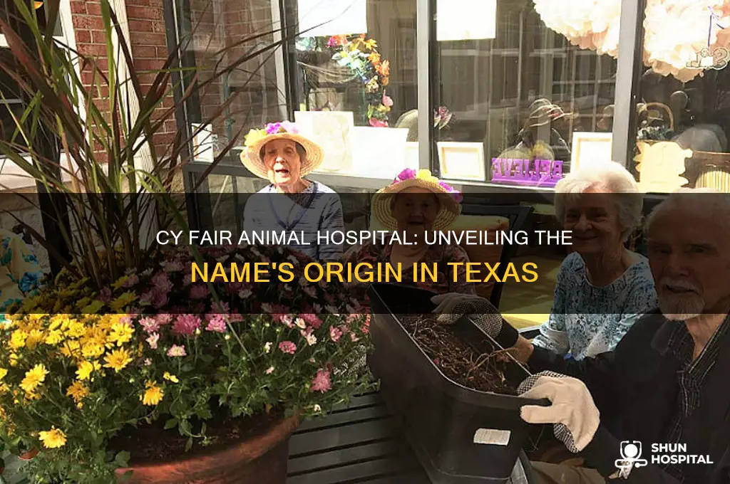 why is it called cy fair animal hospital in texas