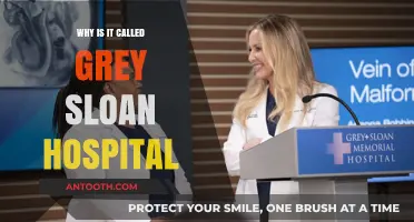 The Story Behind Grey Sloan Hospital's Name