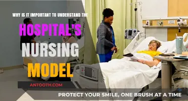 Understanding Hospital Nursing Models: Enhancing Patient Care and Staff Efficiency