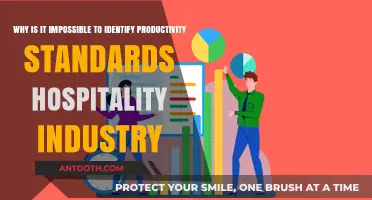 Challenges in Measuring Productivity Standards in the Hospitality Sector