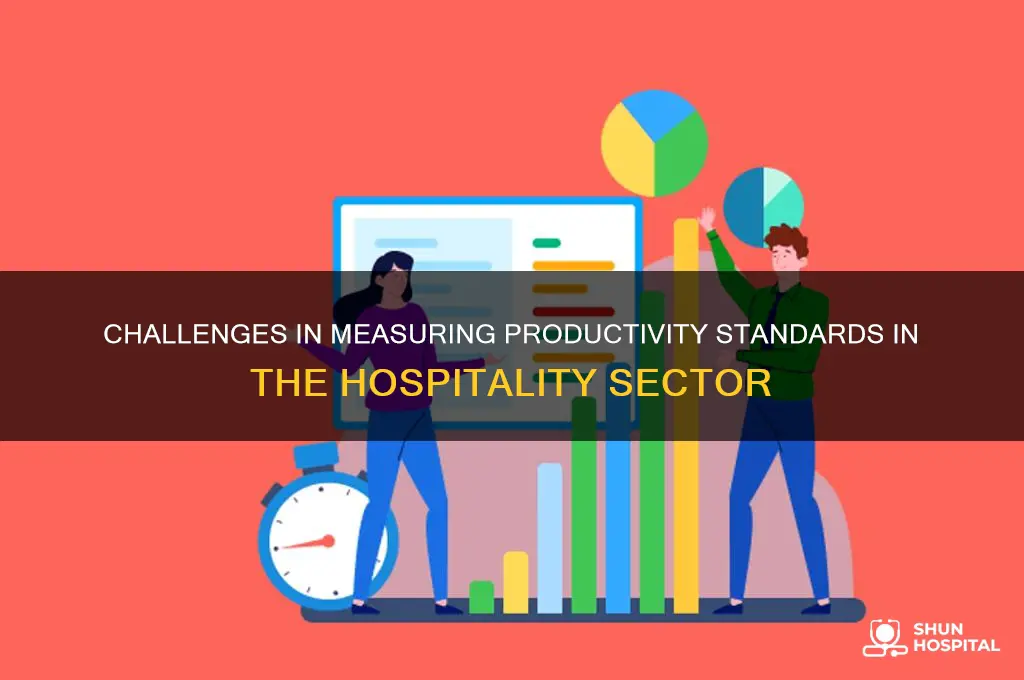 why is it impossible to identify productivity standards hospitality industry