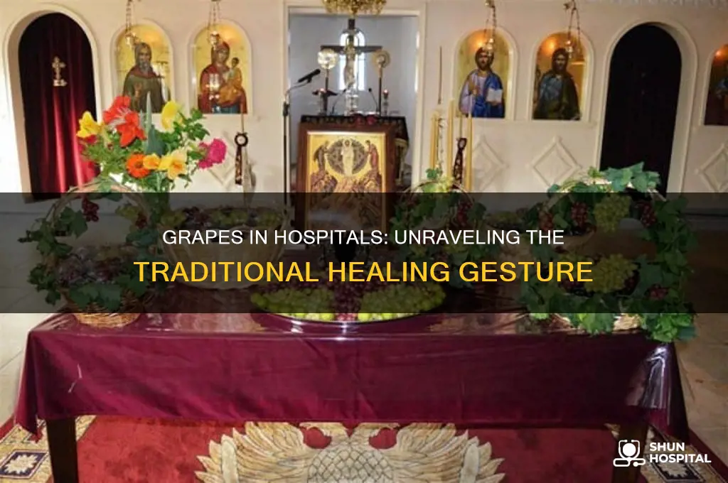 why is it traditional to give grapes in hospital