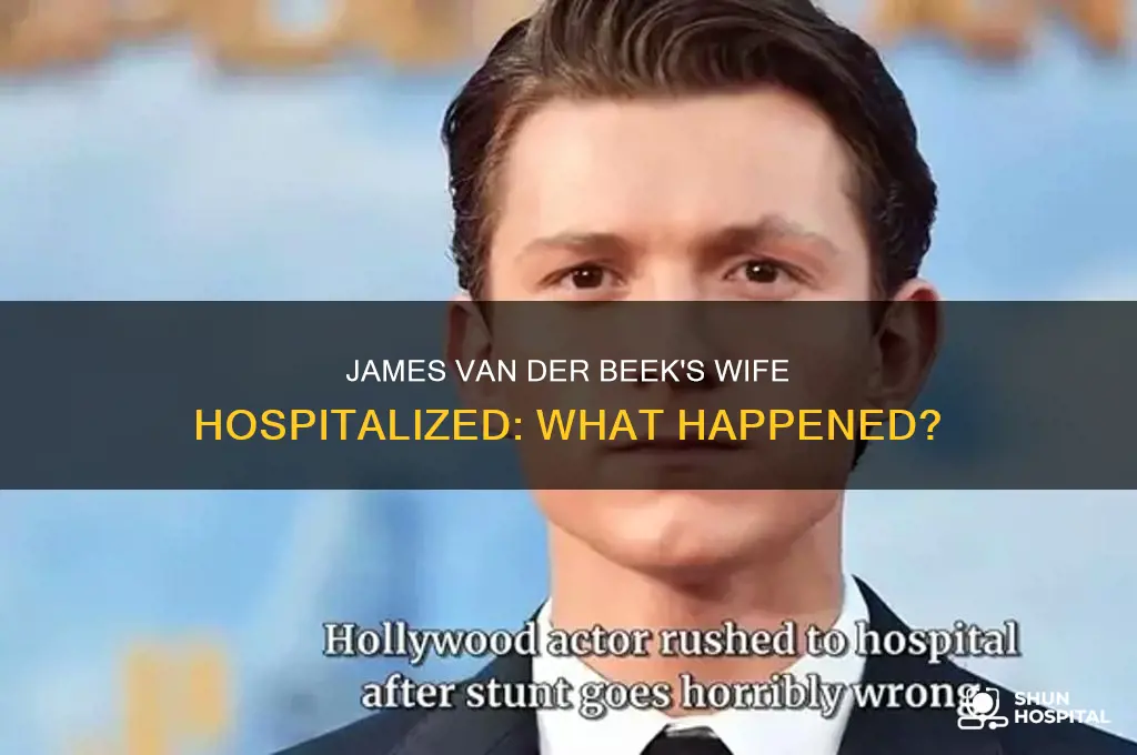 why is james van der beek