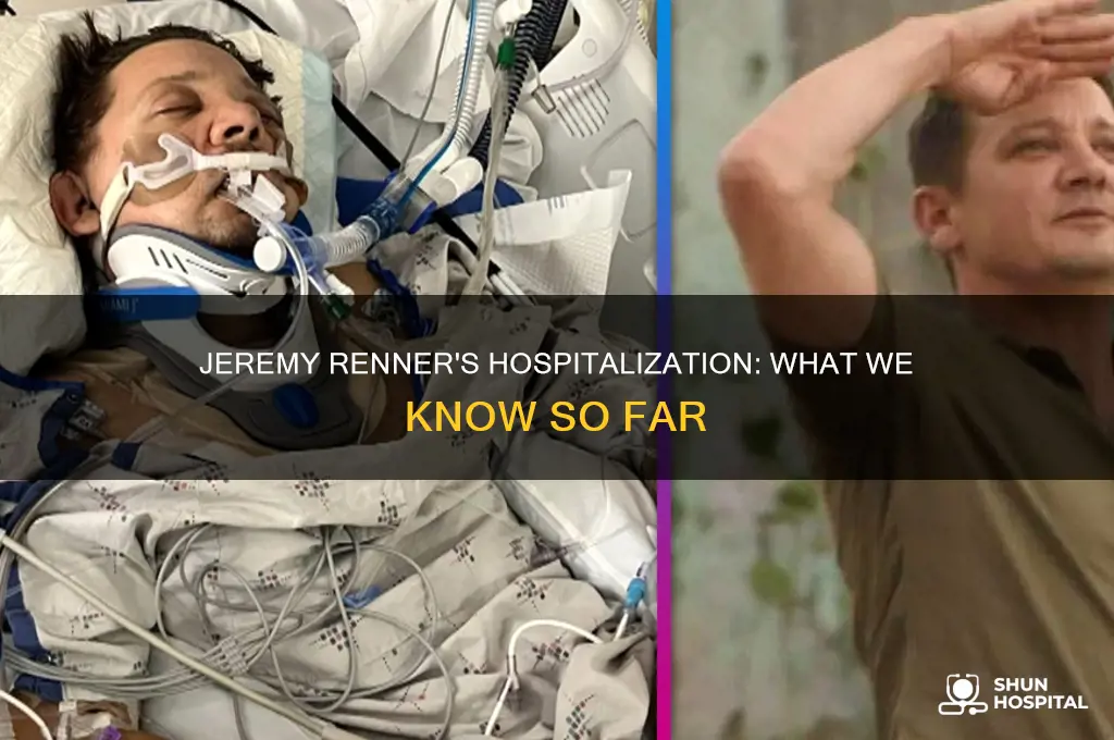 why is jermey renner in the hospital