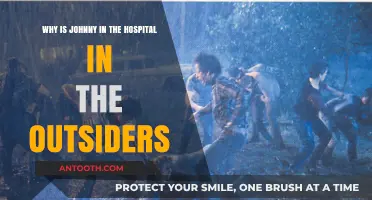 The Outsiders: Johnny's Hospitalization and Its Impact on the Story