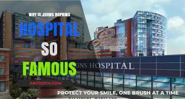 Johns Hopkins Hospital: A Global Healthcare Leader