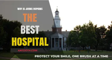 Johns Hopkins: World-Class Healthcare, Research, and Innovation