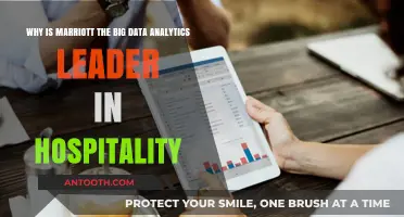 Marriott's Data-Driven Dominance: Leading Hospitality with Analytics Innovation