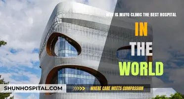 Mayo Clinic: Unmatched Excellence in Global Healthcare Leadership