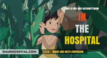 Why is Mei and Satsuki's Mom Hospitalized in 'My Neighbor Totoro'?