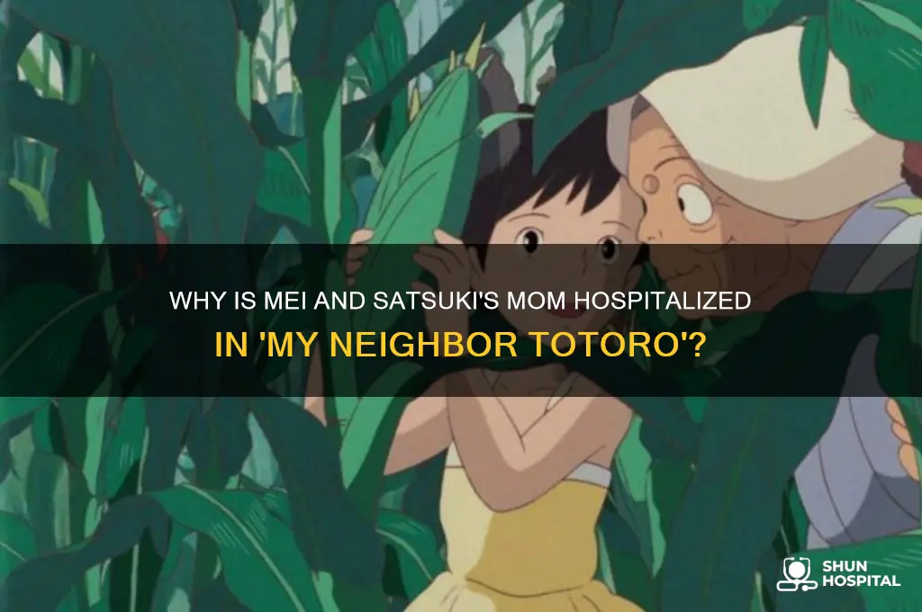 why is mei and satsuki