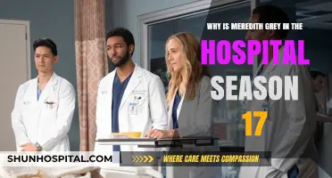 Meredith Grey's Season 17 Hospital Stay: Unraveling the Mystery