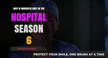 Meredith Grey's Season 6 Hospitalization: Unraveling the Dramatic Twist