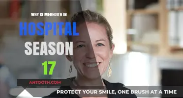 Meredith's Hospitalization: What Happened in Season 17?
