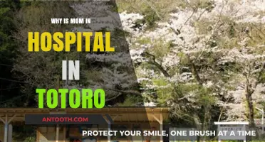 Totoro: Mom's Hospital Stay Explained