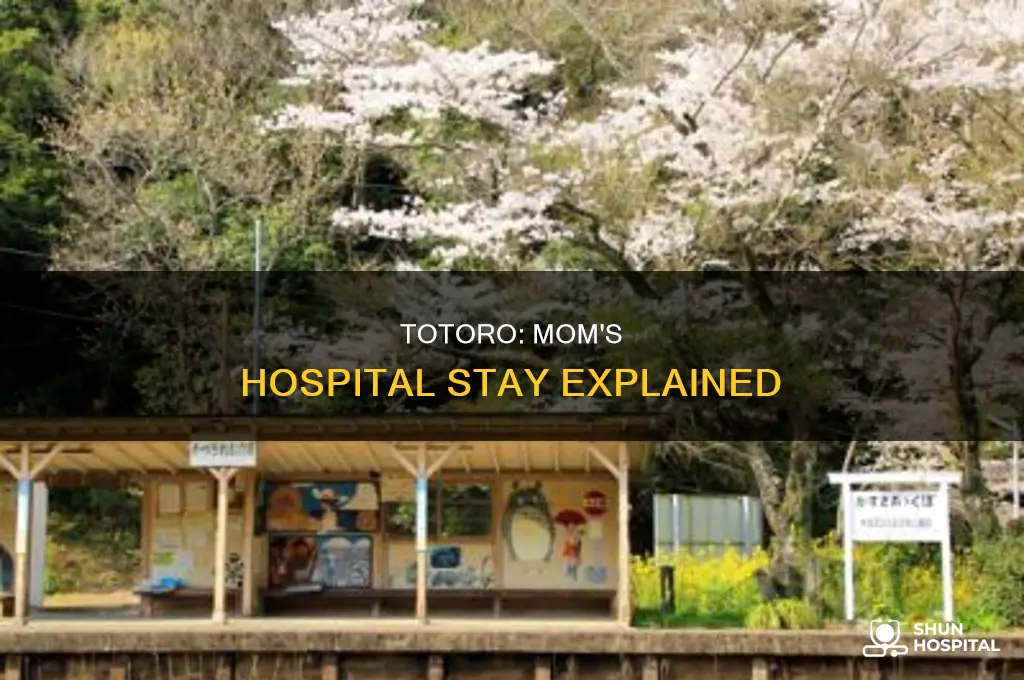 why is mom in hospital in totoro