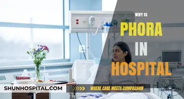 Exploring the Reasons Behind Phora's Hospitalization: A Comprehensive Update