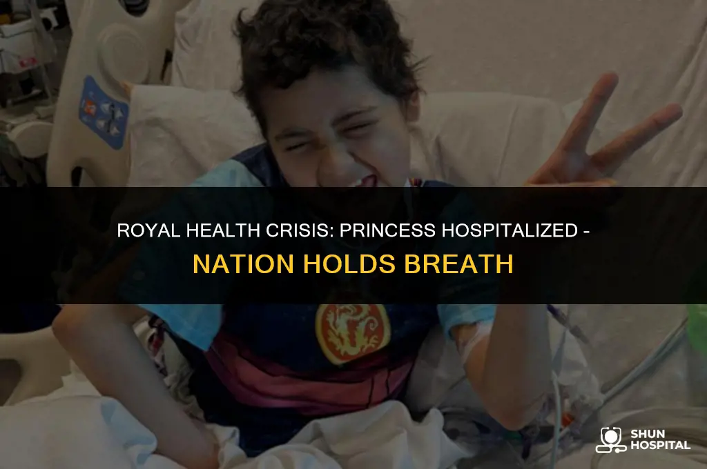 why is princess in hospital
