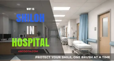 Understanding Shiloh's Hospitalization: A Comprehensive Update