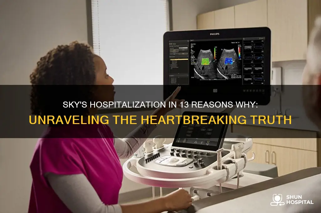 why is sky in the hospital 13 reasons why