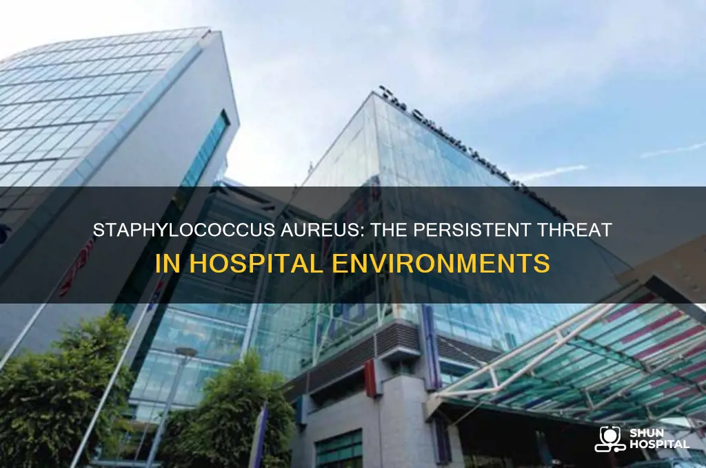 why is staphylococcus aureus considered a troublesome hospital pathogen