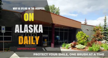 Sylvie's Hospitalization Mystery Unveiled: Alaska Daily's Emotional Plot Twist Explained