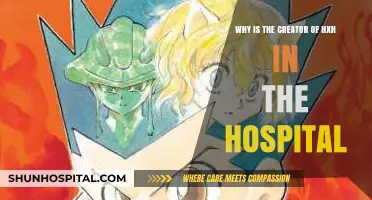 Why HxH's Creator Yoshihiro Togashi Hospitalized: Health Concerns Explained