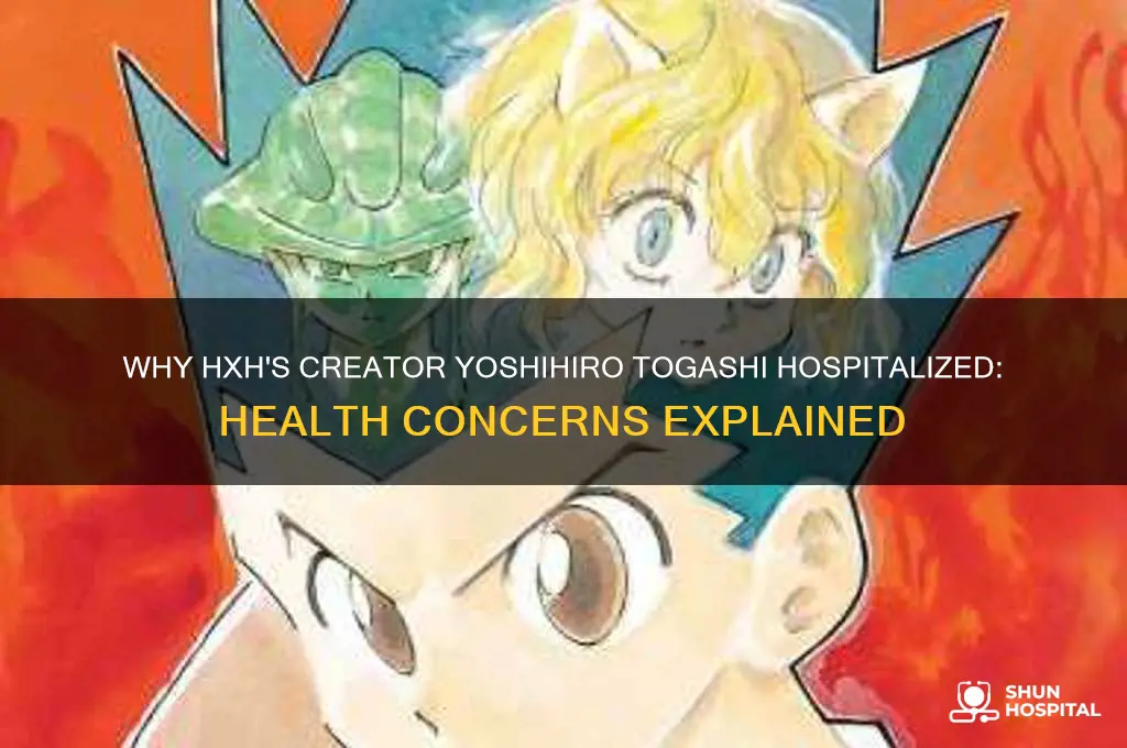 why is the creator of hxh in the hospital