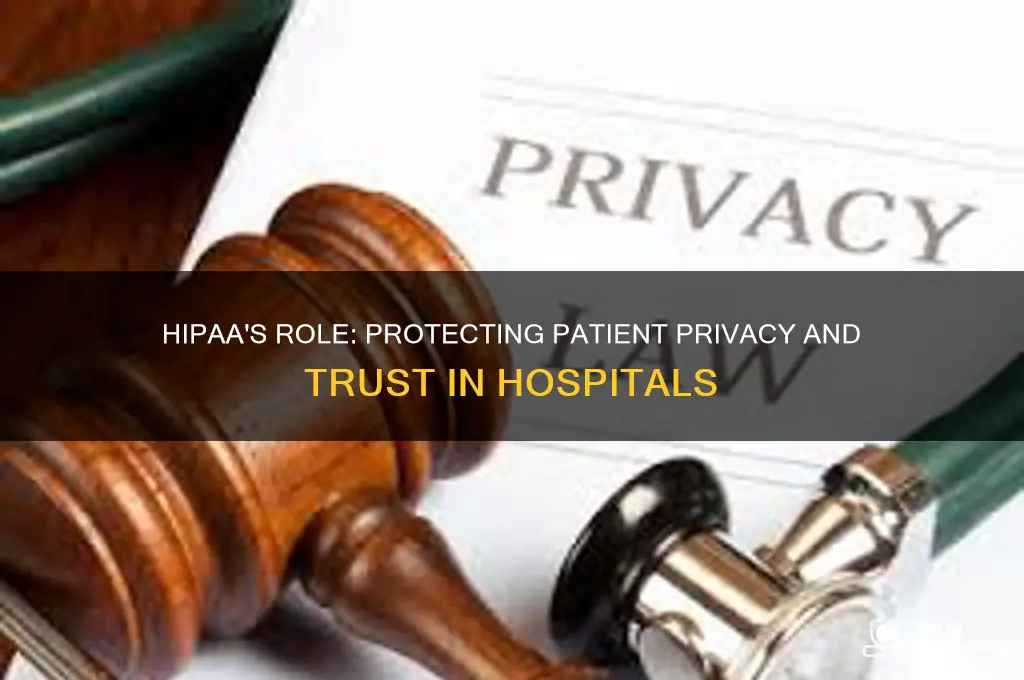 why is the hipaa law important in the hospital