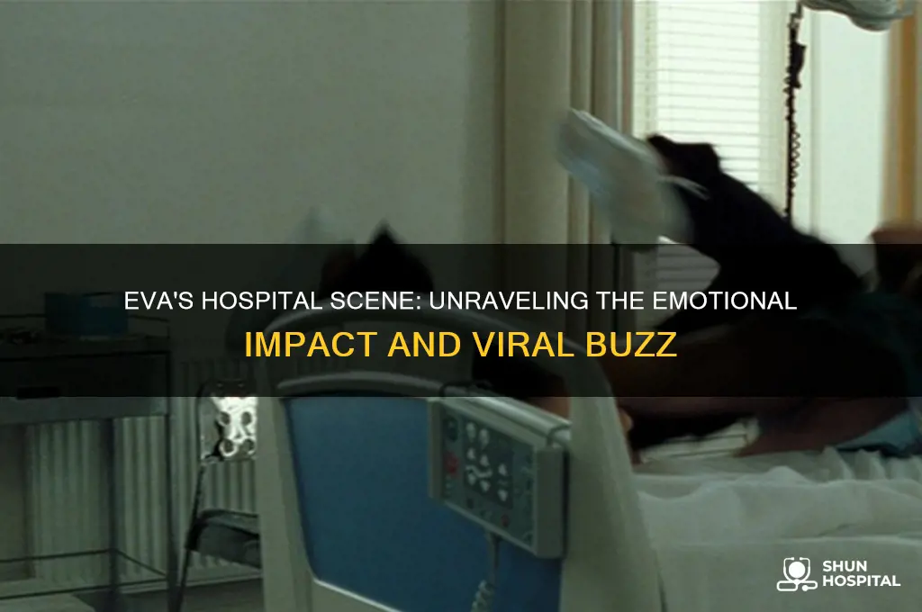 why is the hospital scene so talked about eva