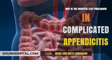 Prolonged Hospital Stays in Complicated Appendicitis: Causes and Impact