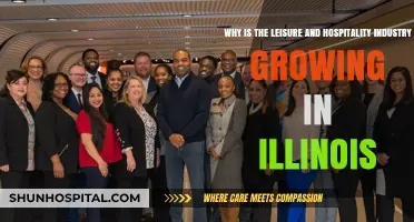Illinois' Leisure and Hospitality Boom: Key Drivers and Economic Impact