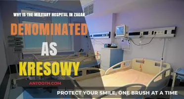 Kresowy Legacy: Understanding Zagan Military Hospital's Historical Polish Denomination