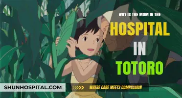 Totoro's Heartfelt Mystery: Why Is Mom Hospitalized in the Anime?