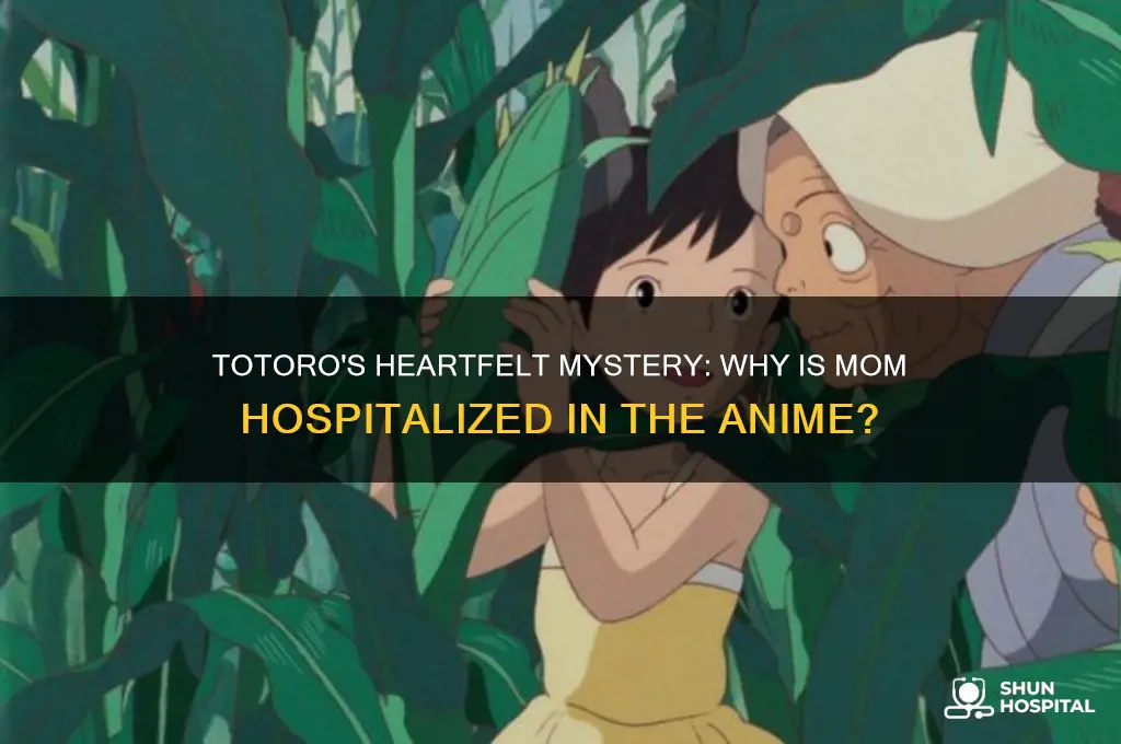 why is the mom in the hospital in totoro