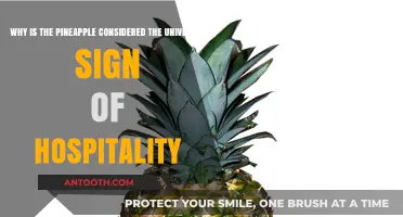 Pineapple: The Timeless Symbol of Warmth and Welcoming Hospitality
