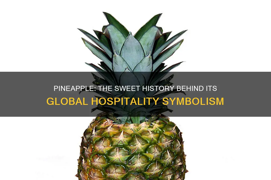 why is the pineapple the international symbol of hospitality