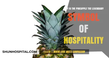 Pineapple: The Timeless Symbol of Hospitality and Warm Welcomes